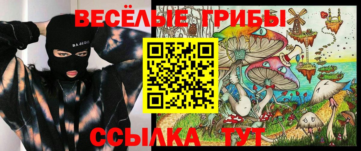 Рославль  Псилоцибиновые грибы мицелий  Вход с VPN 